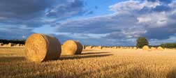 rural hay field